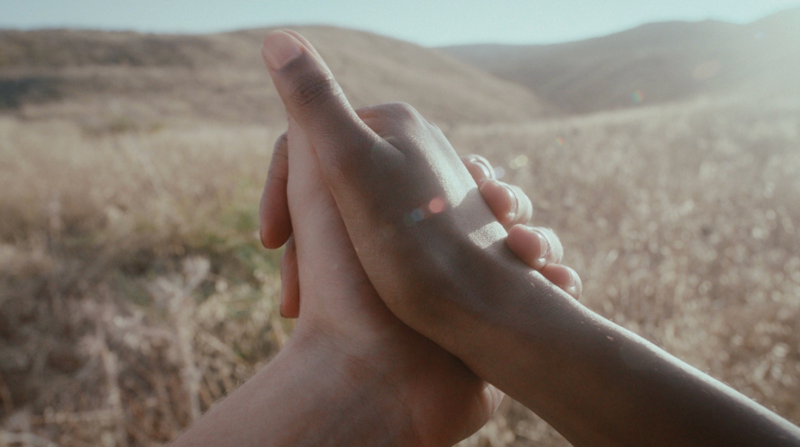 Two hands holding in a golden field