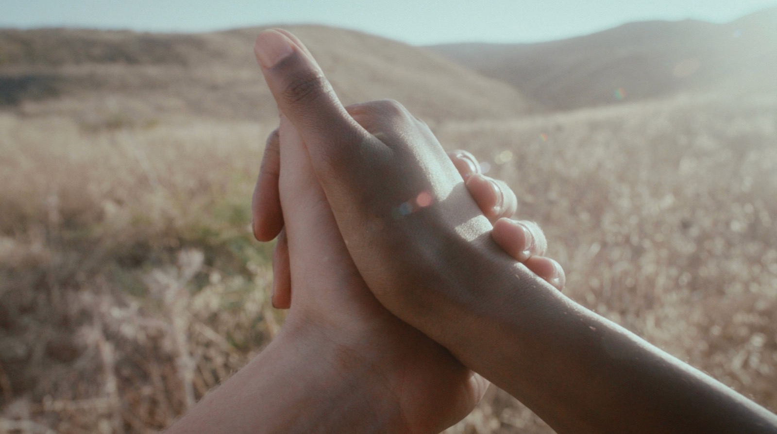 Two hands holding in a golden field